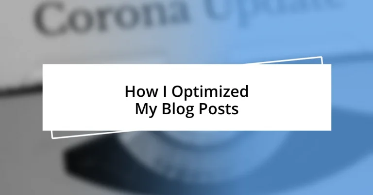 How I Optimized My Blog Posts