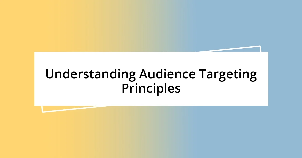 Understanding Audience Targeting Principles